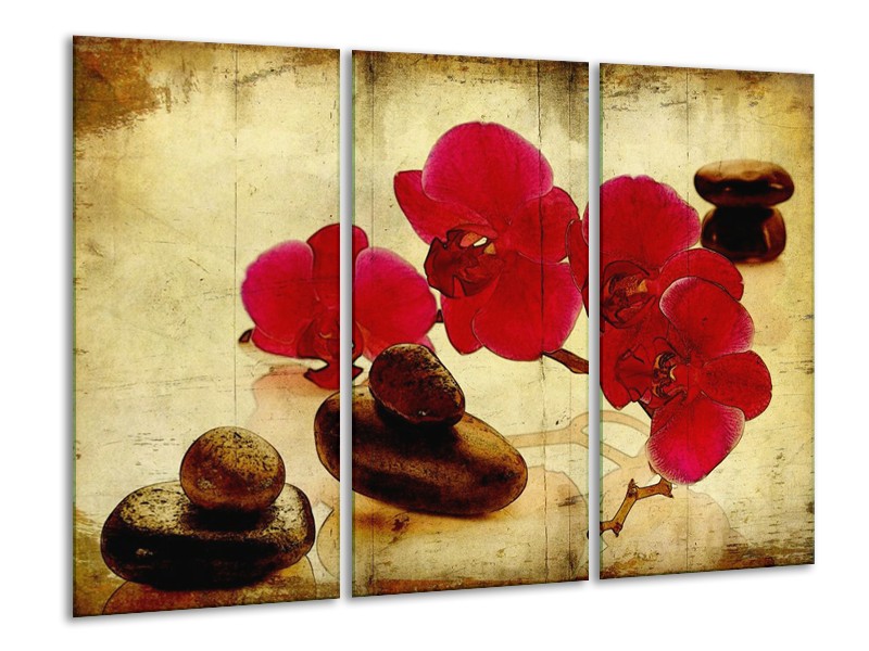 Glas schilderij Orchidee | Rood, Bruin, Geel | 120x80cm 3Luik