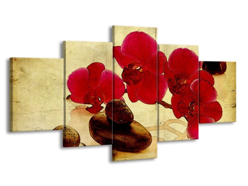 Glas schilderij Orchidee | Rood, Bruin, Geel | 150x80cm 5Luik