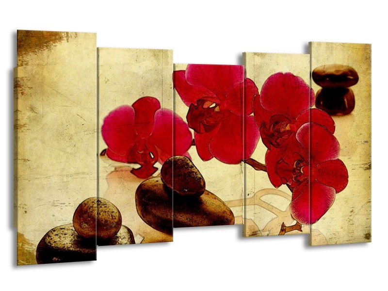 Canvas schilderij Orchidee | Rood, Bruin, Geel | 150x80cm 5Luik