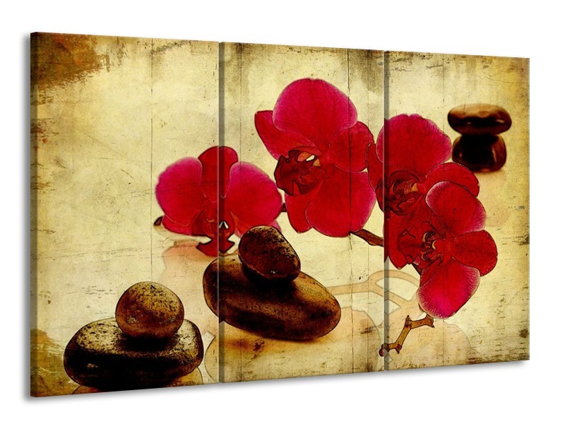 Canvas schilderij Orchidee | Rood, Bruin, Geel | 165x100cm 3Luik