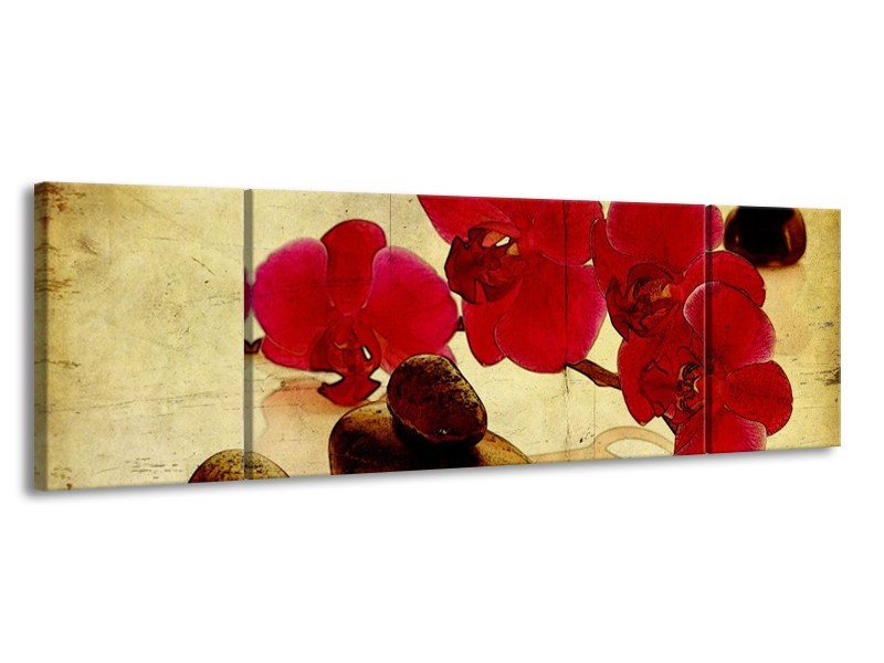 Glas schilderij Orchidee | Rood, Bruin, Geel | 170x50cm 3Luik