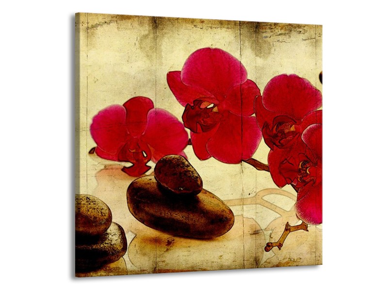 Canvas schilderij Orchidee | Rood, Bruin, Geel | 50x50cm 1Luik