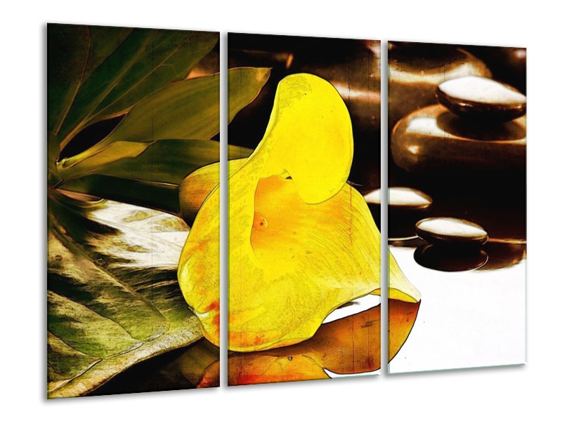 Canvas schilderij Bloem | Geel, Bruin, Groen | 120x80cm 3Luik