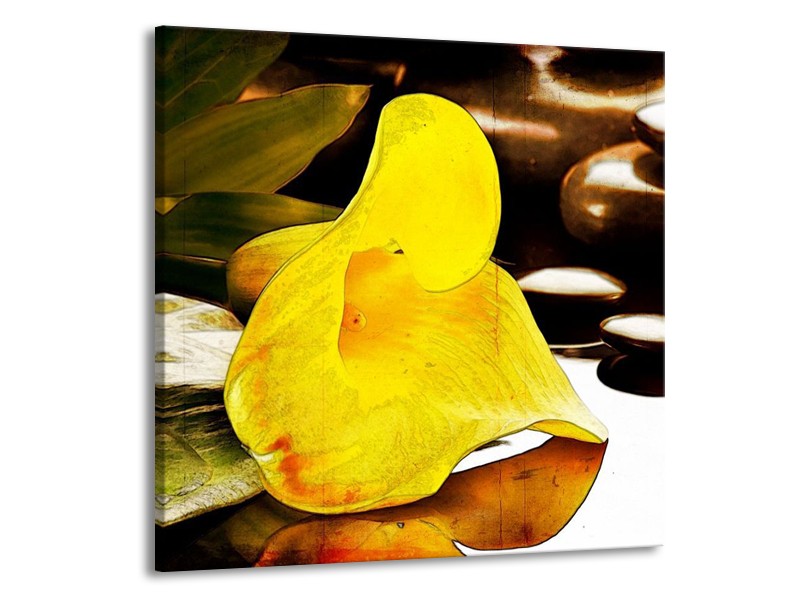 Canvas schilderij Bloem | Geel, Bruin, Groen | 70x70cm 1Luik