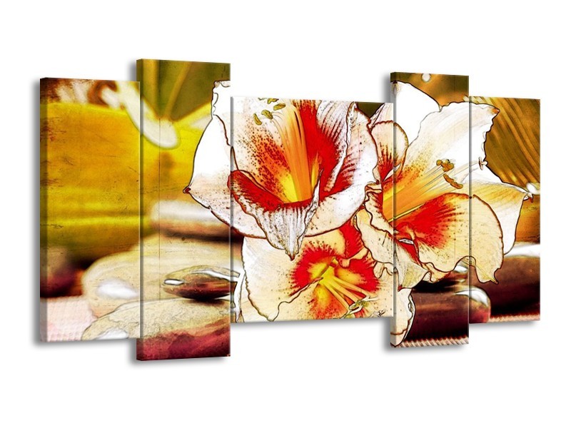 Canvas schilderij Bloem | Wit, Rood, Geel | 120x65 5Luik