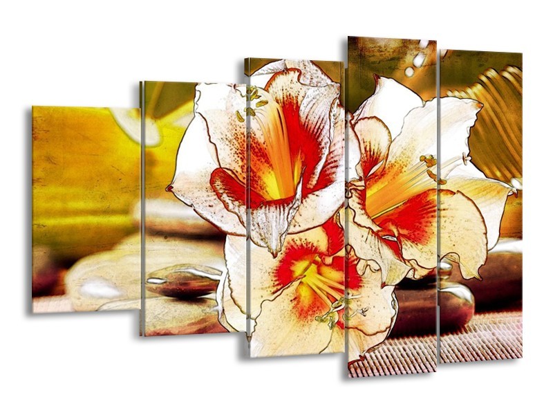 Canvas schilderij Bloem | Wit, Rood, Geel | 150x100cm 5Luik