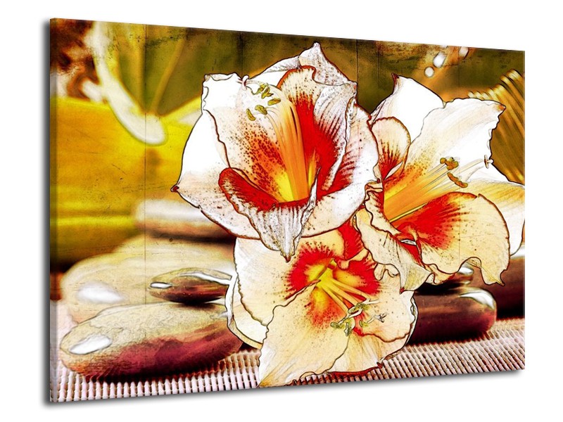 Canvas schilderij Bloem | Wit, Rood, Geel | 70x50cm 1Luik