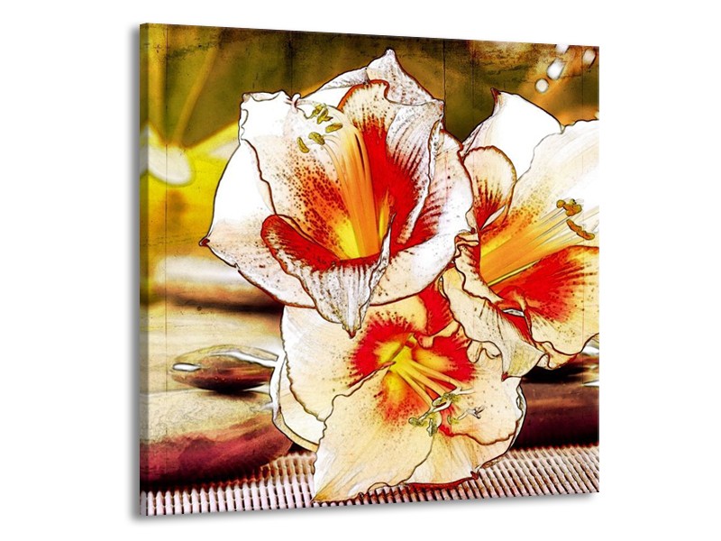 Canvas schilderij Bloem | Wit, Rood, Geel | 70x70cm 1Luik