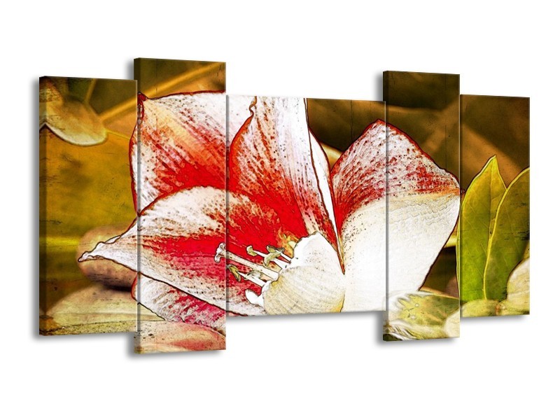 Canvas schilderij Bloem | Wit, Rood, Geel | 120x65 5Luik
