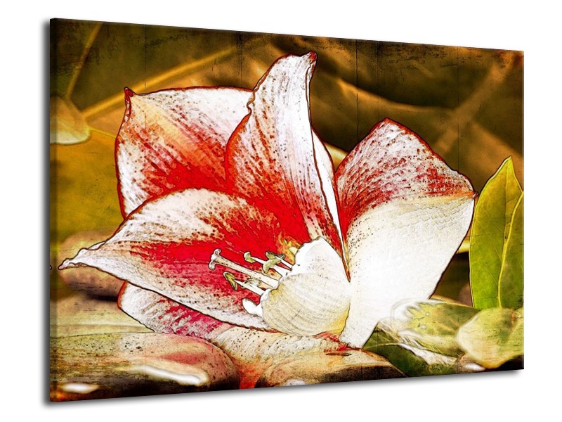 Canvas schilderij Bloem | Wit, Rood, Geel | 70x50cm 1Luik