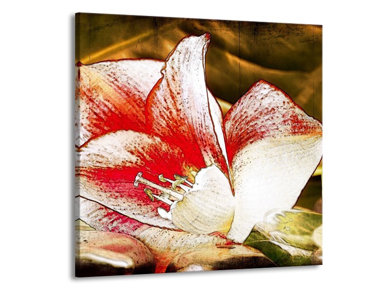 Canvas schilderij Bloem | Wit, Rood, Geel | 70x70cm 1Luik