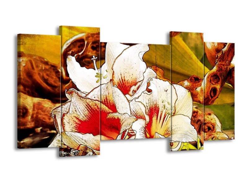Canvas schilderij Bloem | Wit, Rood, Geel | 120x65 5Luik