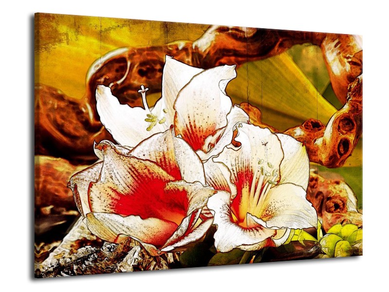 Canvas schilderij Bloem | Wit, Rood, Geel | 70x50cm 1Luik
