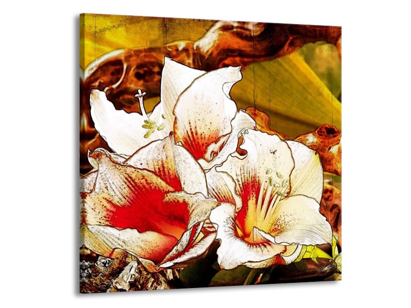 Canvas schilderij Bloem | Wit, Rood, Geel | 70x70cm 1Luik