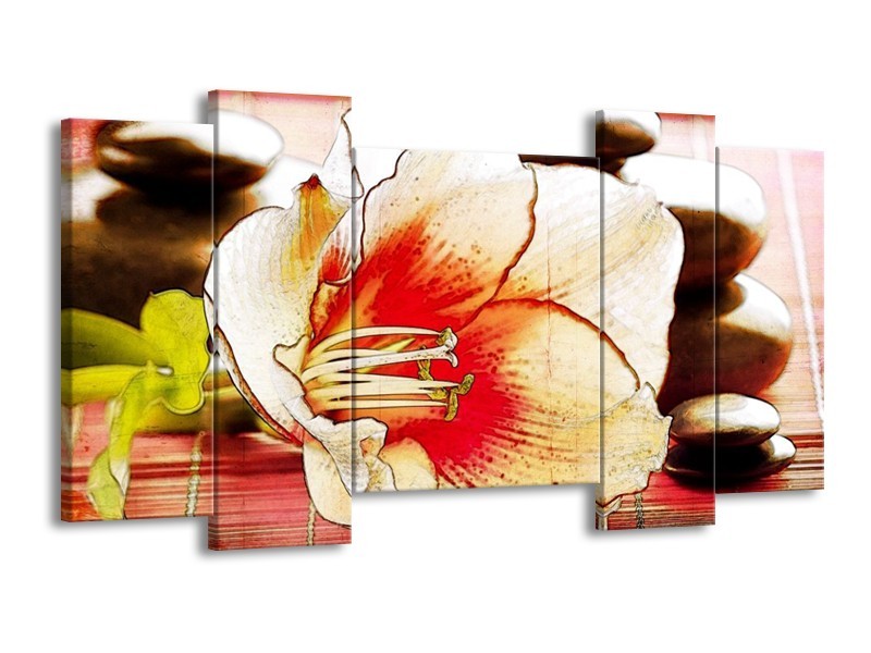 Canvas schilderij Bloem | Wit, Rood, Geel | 120x65 5Luik
