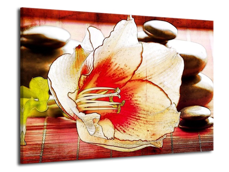 Canvas schilderij Bloem | Wit, Rood, Geel | 70x50cm 1Luik