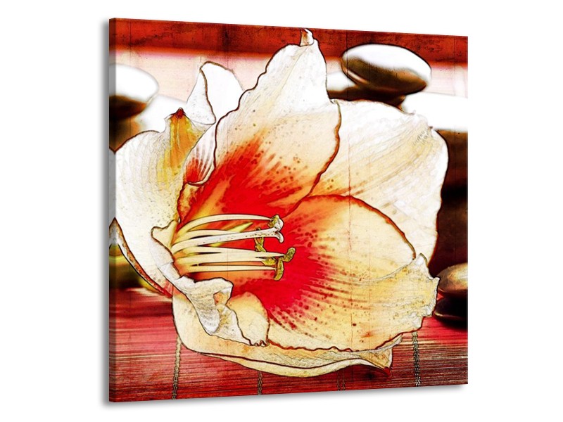 Canvas schilderij Bloem | Wit, Rood, Geel | 70x70cm 1Luik