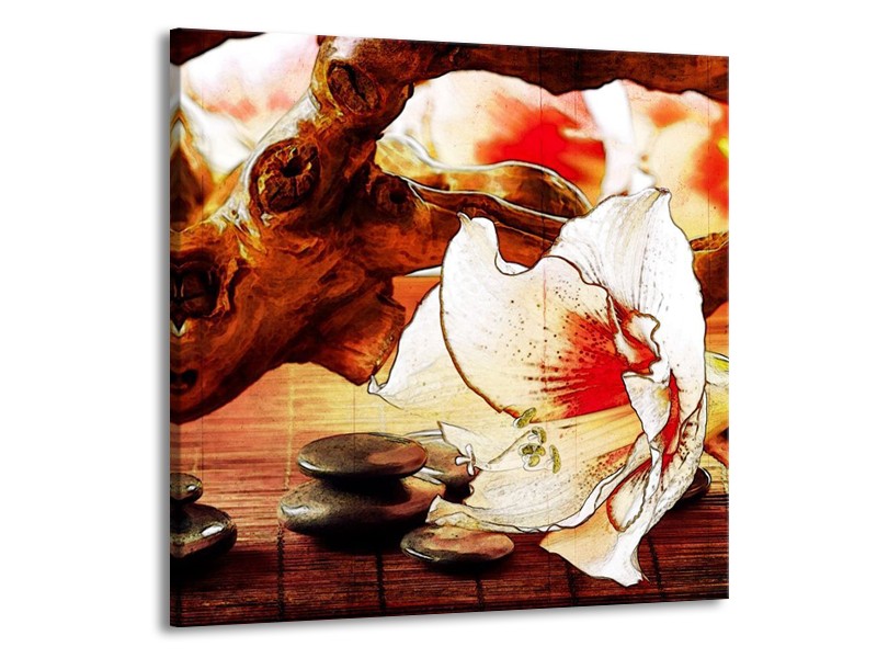 Canvas schilderij Bloem | Wit, Rood, Geel | 70x70cm 1Luik