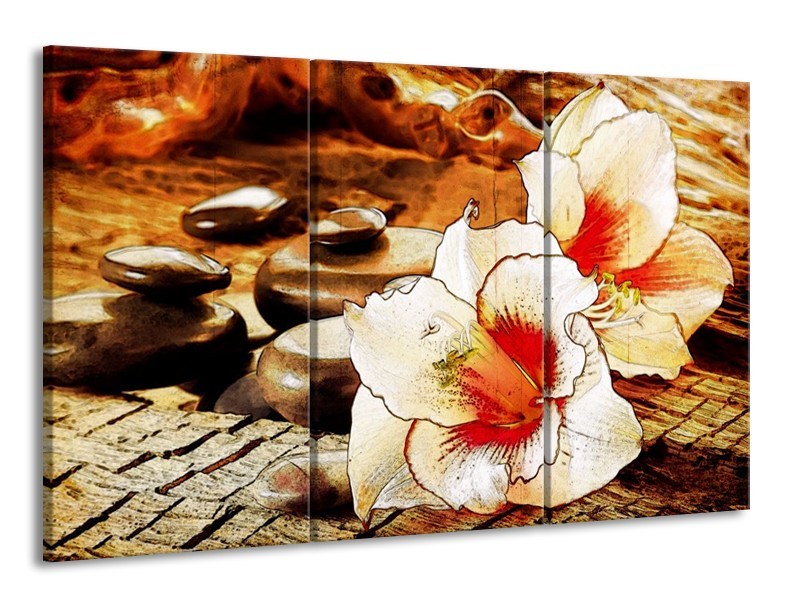 Glas schilderij Bloem | Wit, Rood, Geel | 165x100cm 3Luik