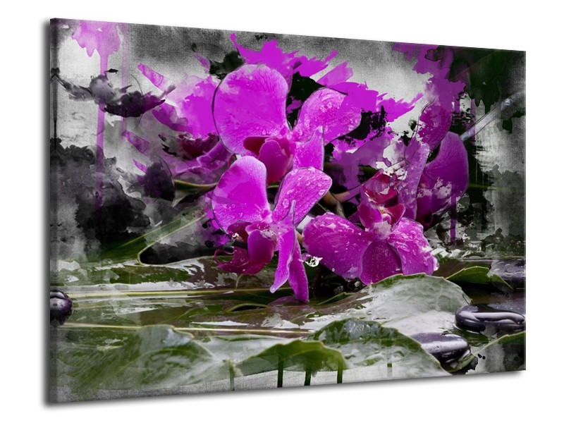 Canvas schilderij Orchidee | Paars, Grijs, Wit | 70x50cm 1Luik