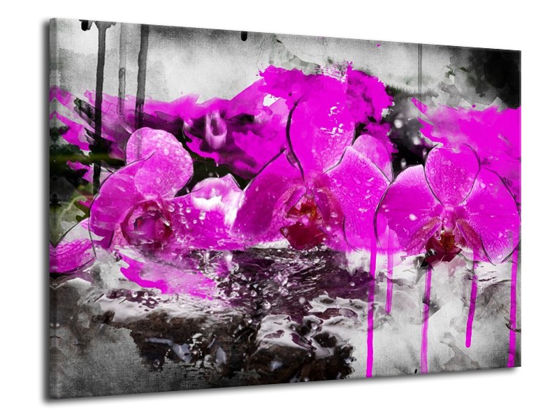Canvas schilderij Orchidee | Paars, Grijs, Wit | 70x50cm 1Luik