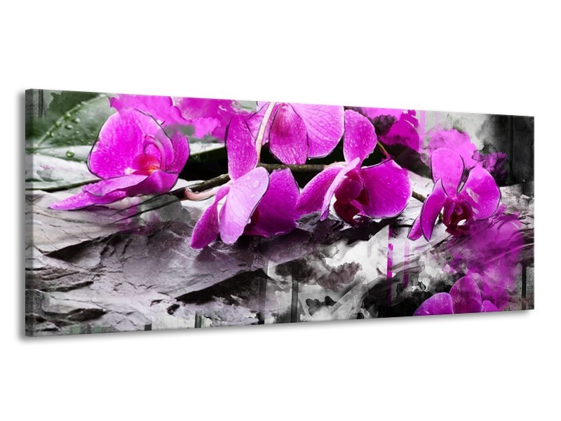 Canvas schilderij Orchidee | Paars, Grijs, Wit | 145x58cm 1Luik