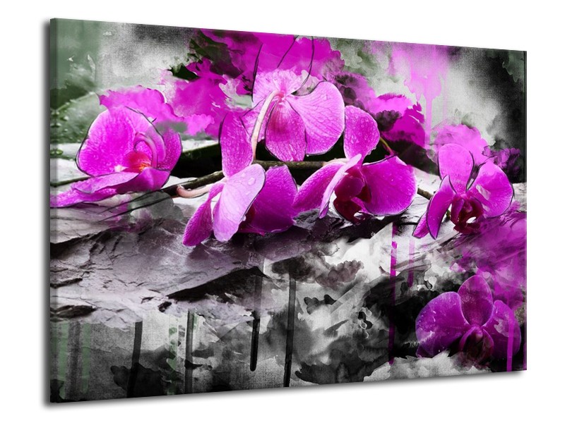 Canvas schilderij Orchidee | Paars, Grijs, Wit | 70x50cm 1Luik