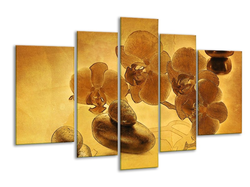 Glas schilderij Orchidee | Bruin | 170x100cm 5Luik