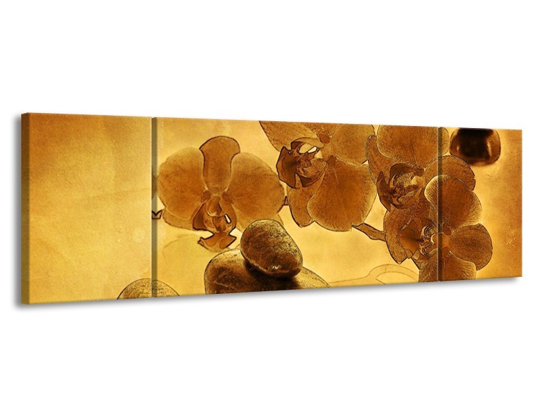Canvas schilderij Orchidee | Bruin | 170x50cm 3Luik