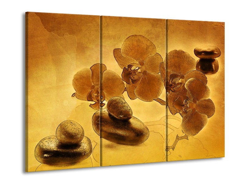 Canvas schilderij Orchidee | Bruin | 90x60cm 3Luik