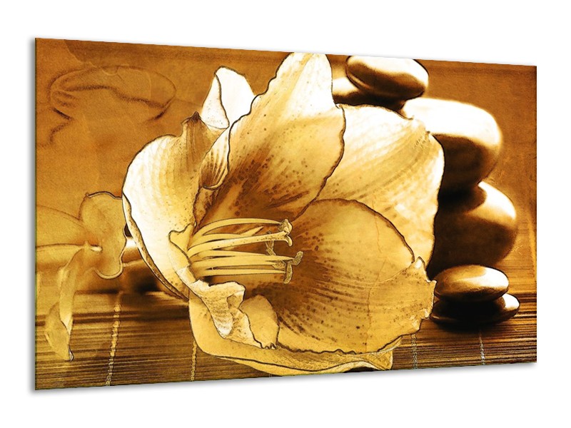 Canvas schilderij Bloem | Bruin | 120x70cm 1Luik