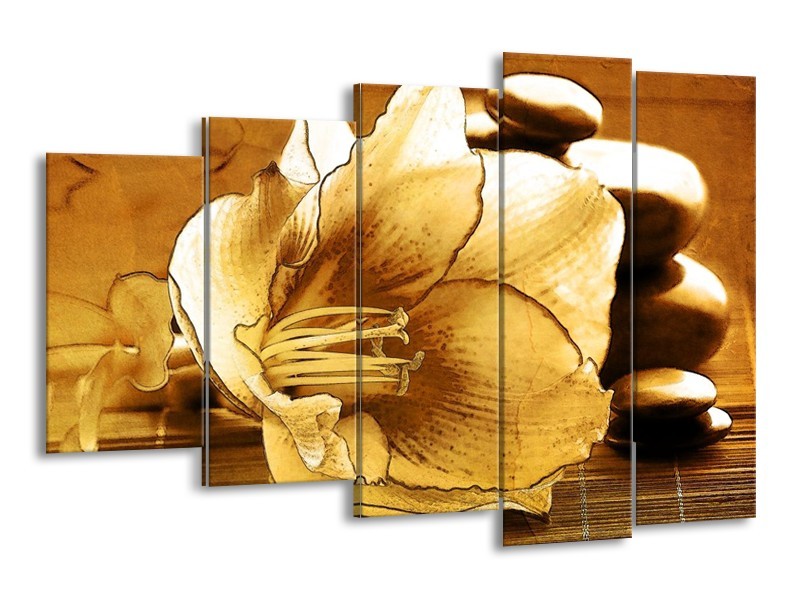 Canvas schilderij Bloem | Bruin | 150x100cm 5Luik