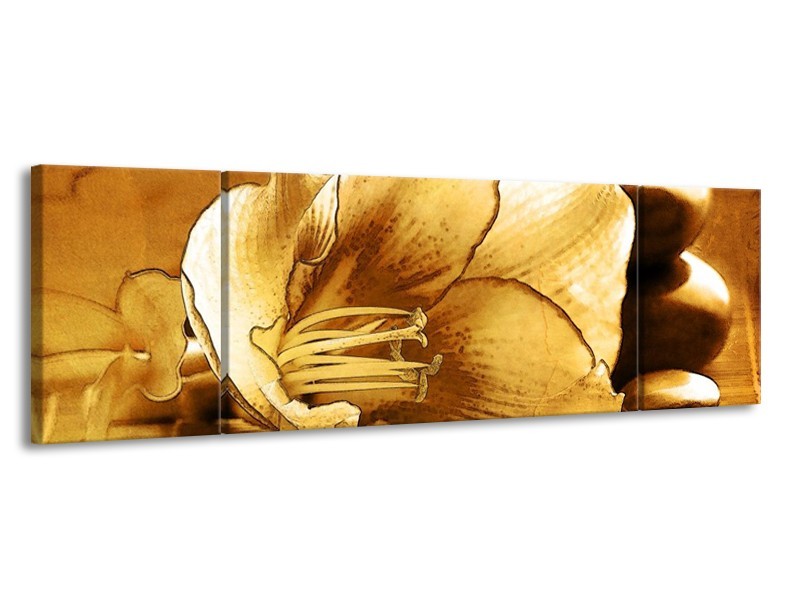 Canvas schilderij Bloem | Bruin | 170x50cm 3Luik