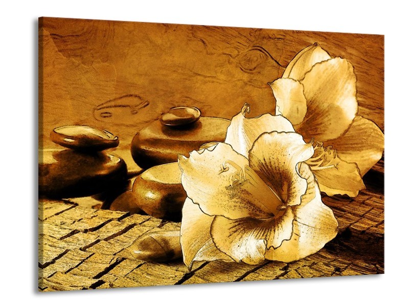 Canvas schilderij Bloem | Bruin | 100x70cm 1Luik