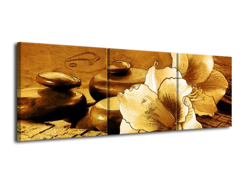 Canvas schilderij Bloem | Bruin | 120x40cm 3Luik