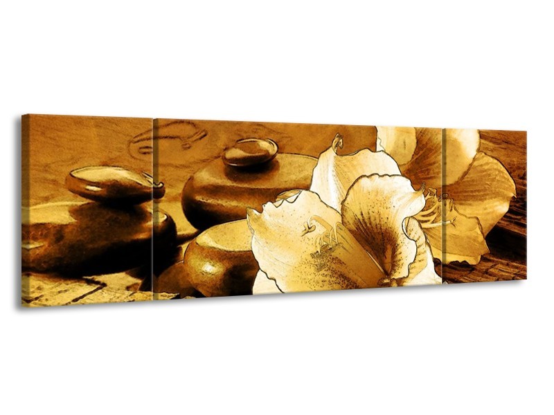 Canvas schilderij Bloem | Bruin | 170x50cm 3Luik