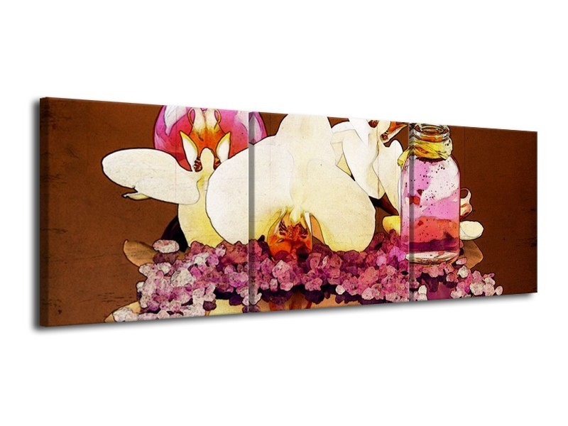 Canvas schilderij Orchidee | Paars, Wit, Bruin | 120x40cm 3Luik