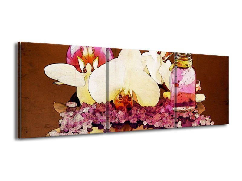 Canvas schilderij Orchidee | Paars, Wit, Bruin | 150x50cm 3Luik