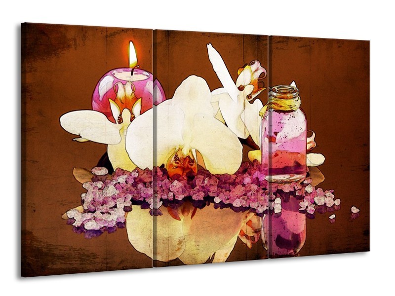 Canvas schilderij Orchidee | Paars, Wit, Bruin | 165x100cm 3Luik