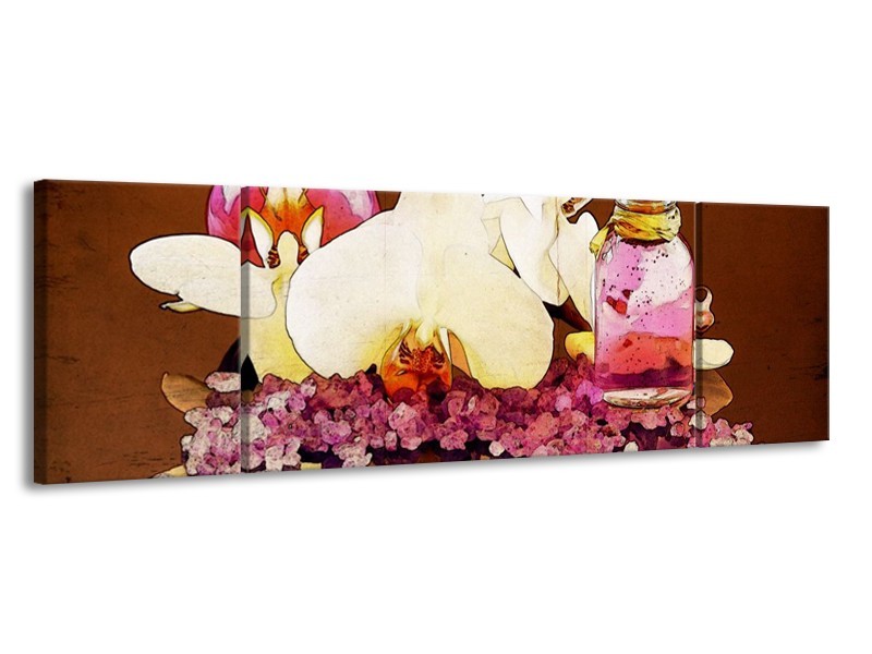 Glas schilderij Orchidee | Paars, Wit, Bruin | 170x50cm 3Luik