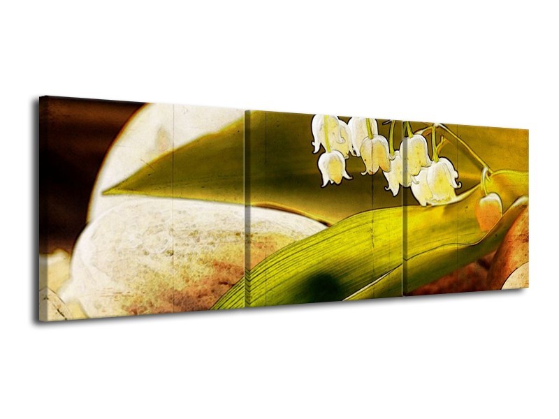 Canvas schilderij Bloem | Groen, Wit, Bruin | 120x40cm 3Luik