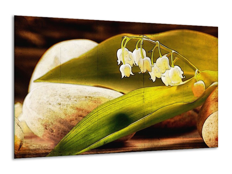 Canvas schilderij Bloem | Groen, Wit, Bruin | 120x70cm 1Luik