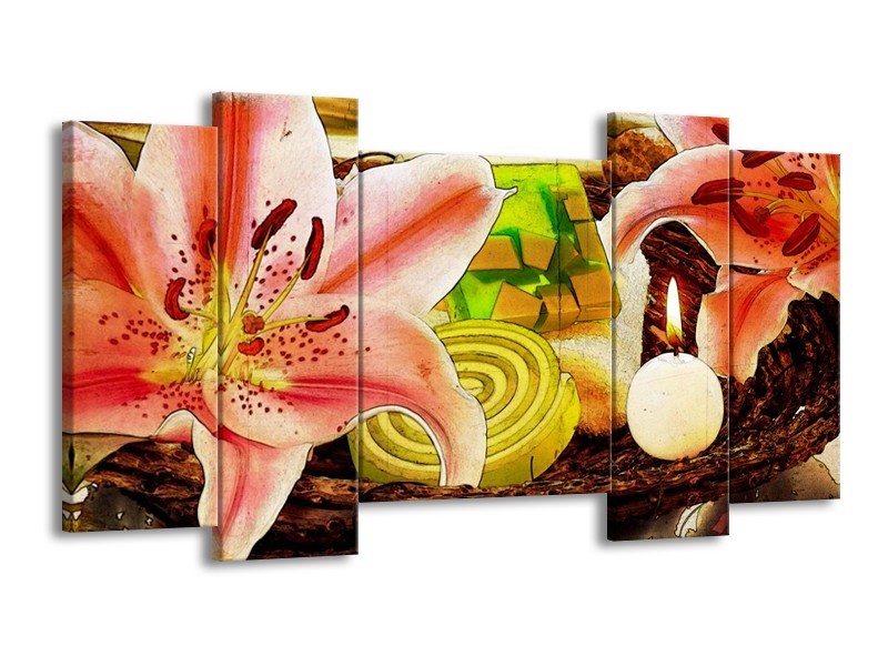 Canvas schilderij Bloem | Roze, Groen, Wit | 120x65 5Luik