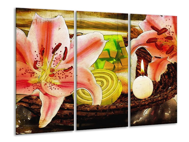 Canvas schilderij Bloem | Roze, Groen, Wit | 120x80cm 3Luik