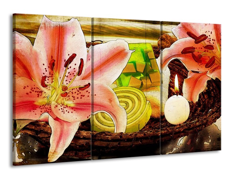 Canvas schilderij Bloem | Roze, Groen, Wit | 165x100cm 3Luik