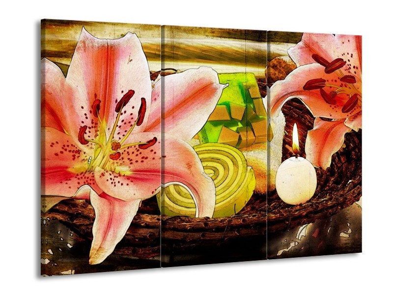 Canvas schilderij Bloem | Roze, Groen, Wit | 90x60cm 3Luik