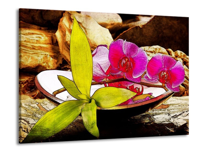 Canvas schilderij Orchidee | Paars, Groen, Bruin | 100x70cm 1Luik