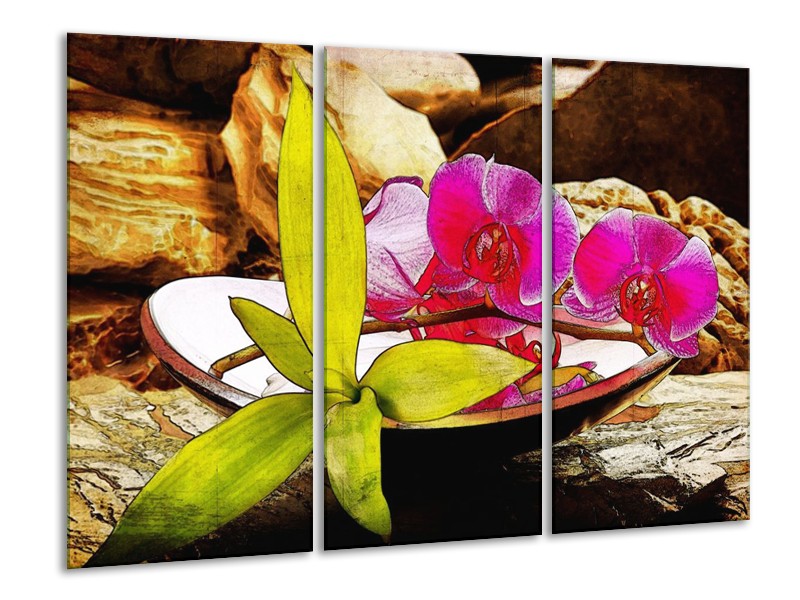 Canvas schilderij Orchidee | Paars, Groen, Bruin | 120x80cm 3Luik