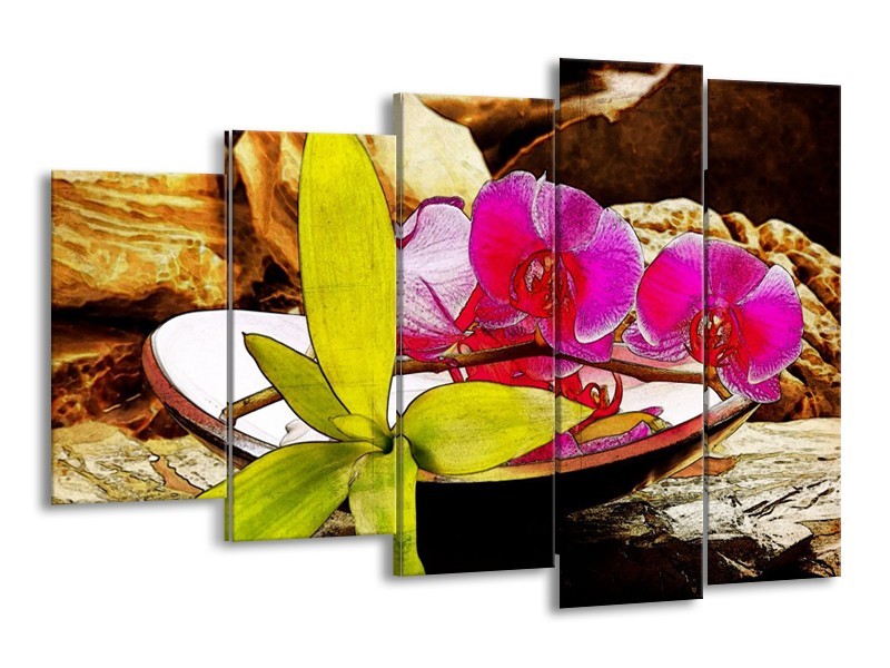 Glas schilderij Orchidee | Paars, Groen, Bruin | 150x100cm 5Luik