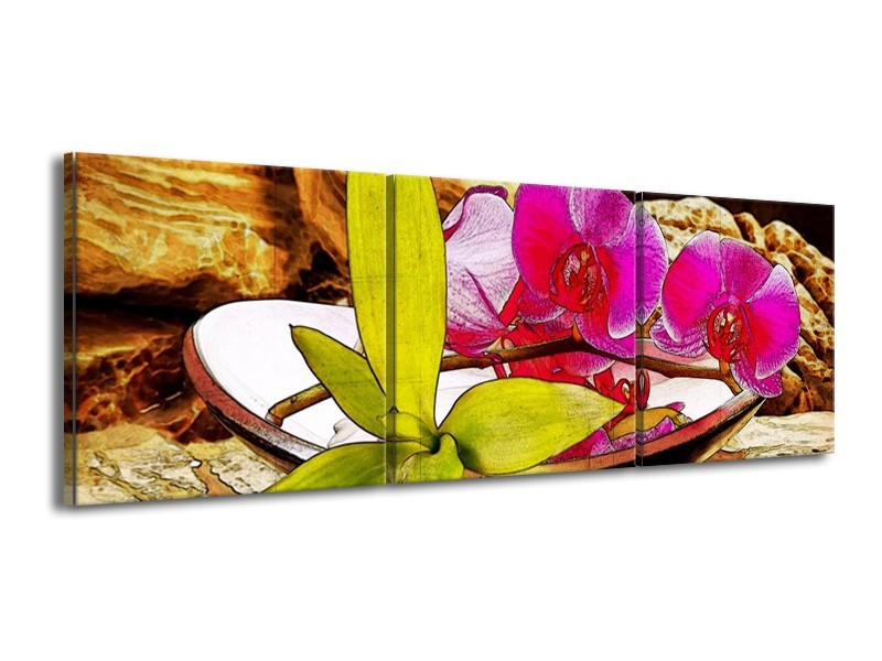 Canvas schilderij Orchidee | Paars, Groen, Bruin | 150x50cm 3Luik